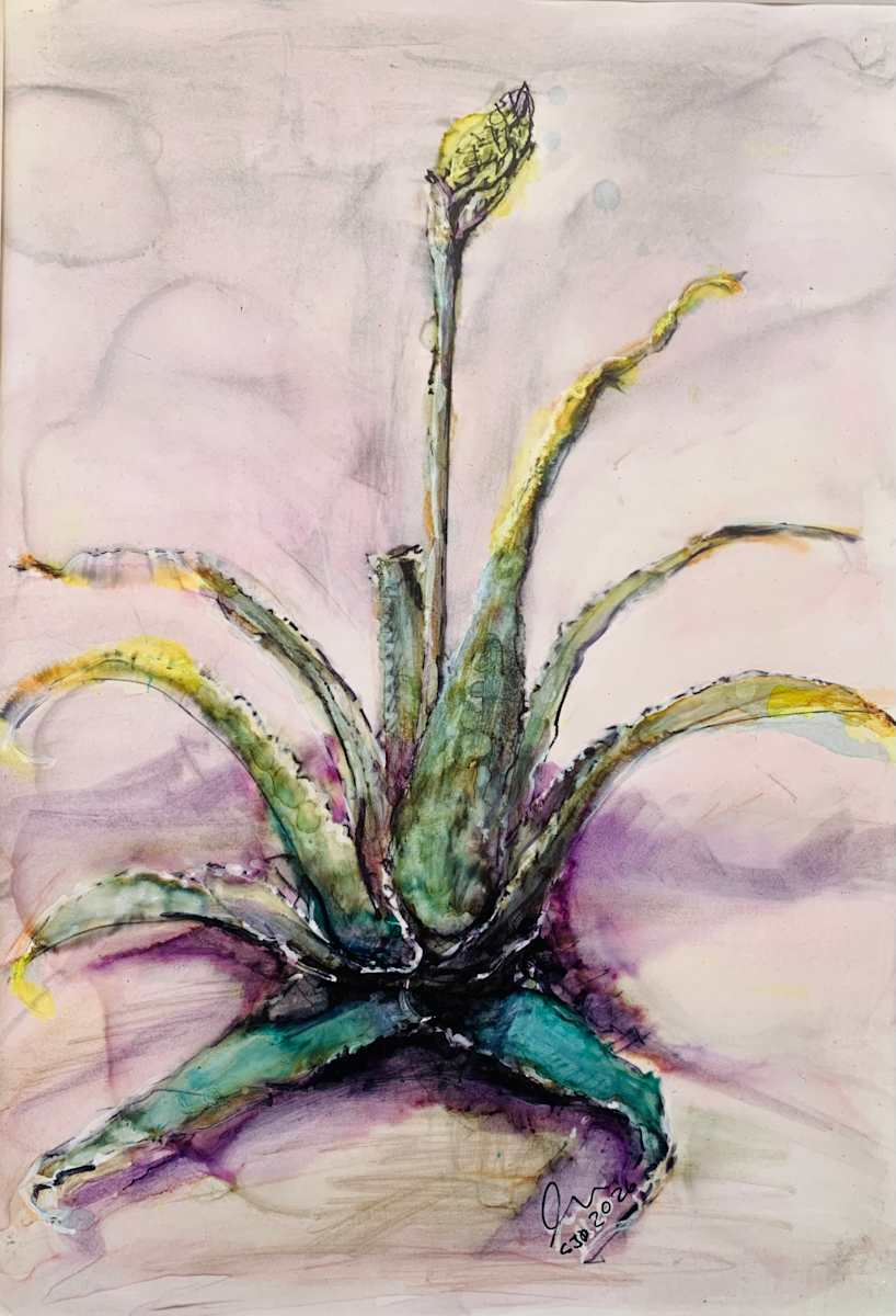 Renewal by Janet Dixon, Image 1.