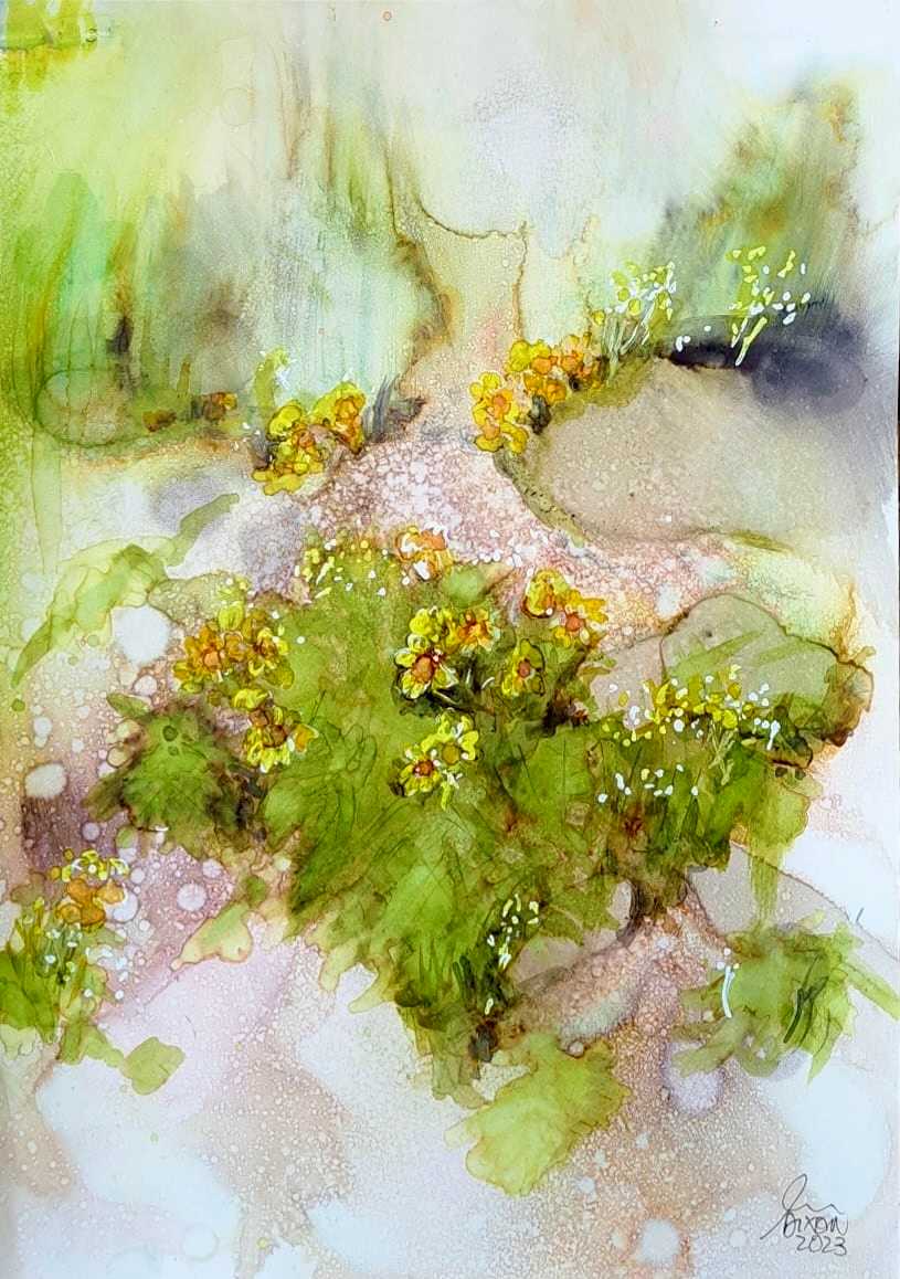 Fairy Circle by Janet Dixon 