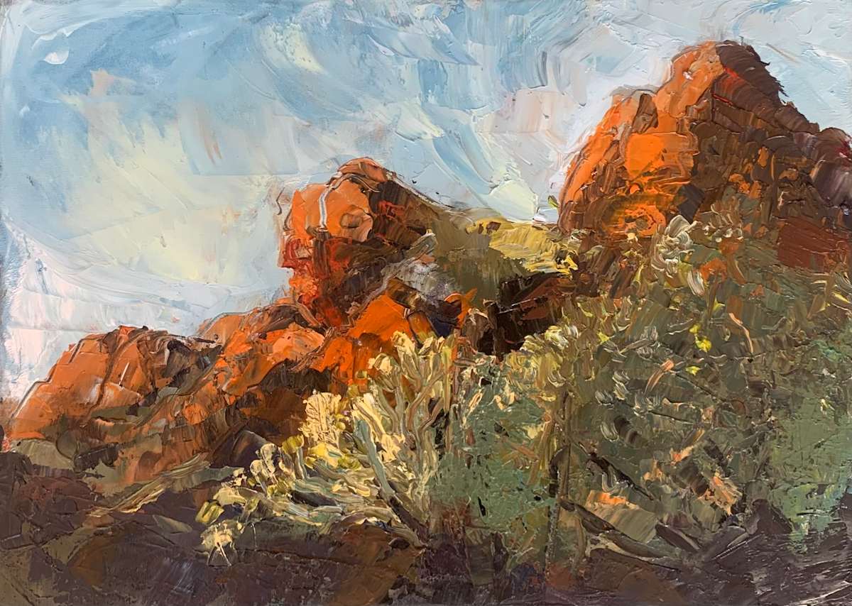 Red Hills In Bloom by Janet Dixon 
