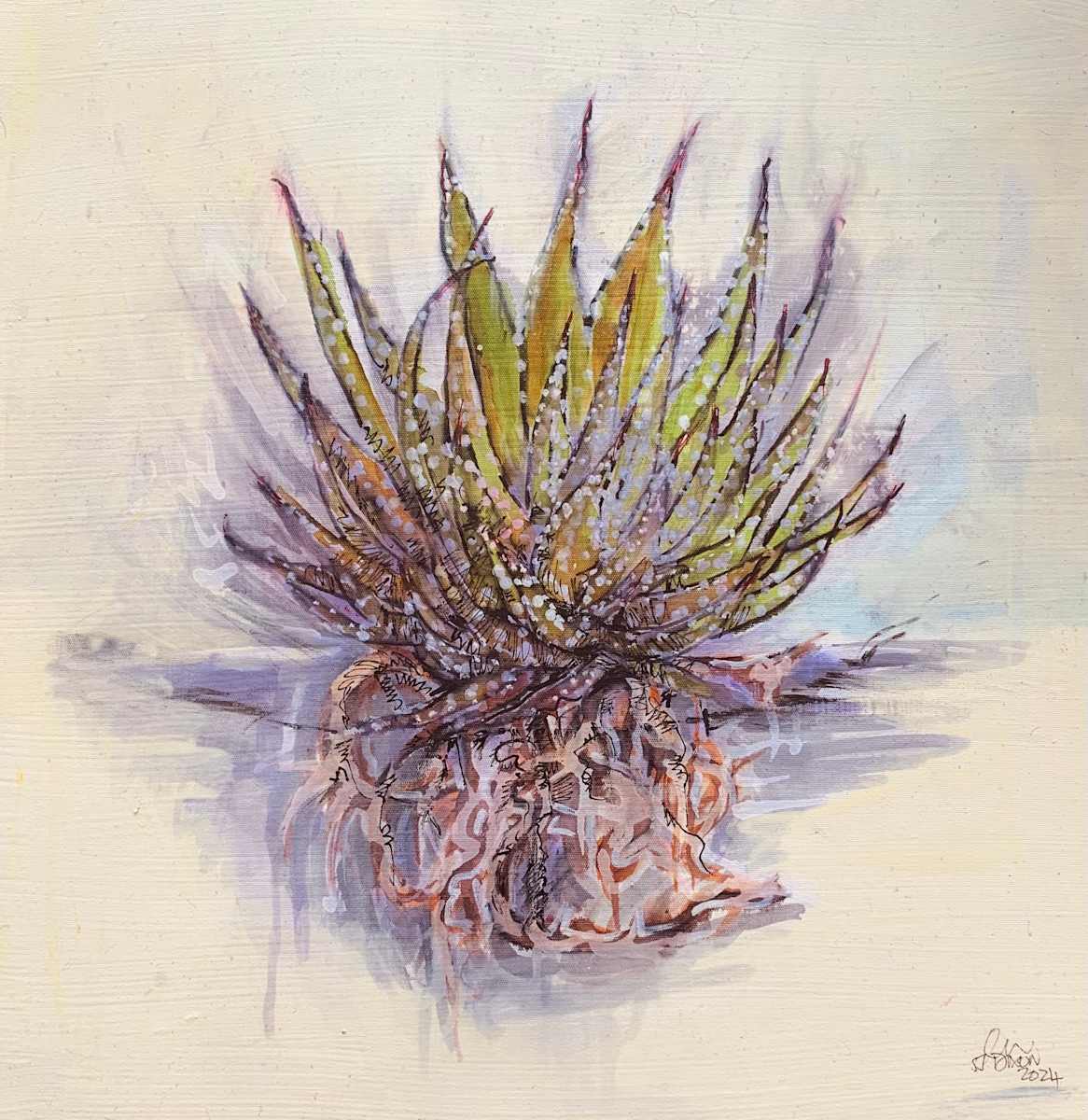 Haworthia that was by Janet Dixon 
