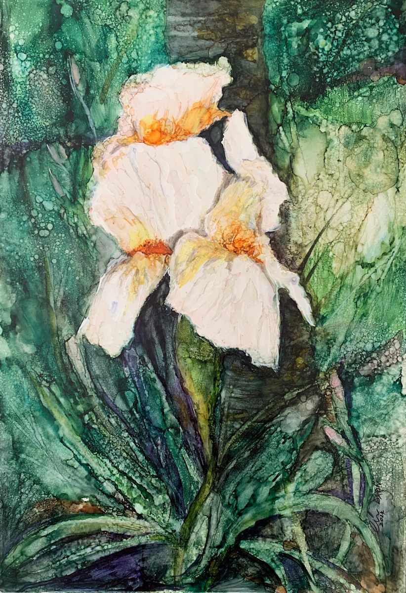Iris Dancing in Green by Janet Dixon 