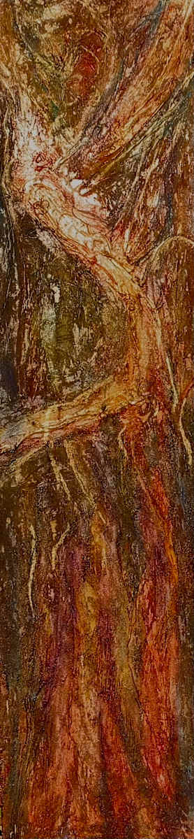 Spirit of a Tree by Janet Dixon 