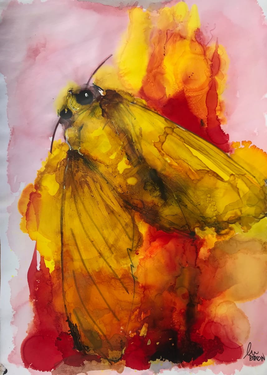 Too Close by Janet Dixon, Image 1.