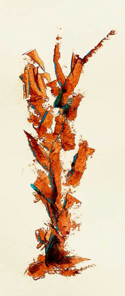 Burning Bush by Pat Borow 