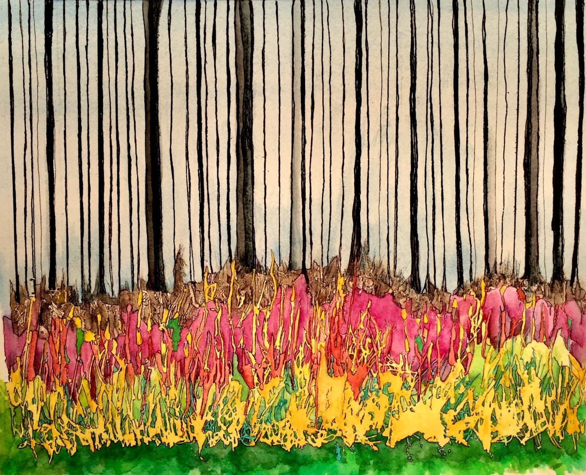 Roadside, Apalachicola Forest 