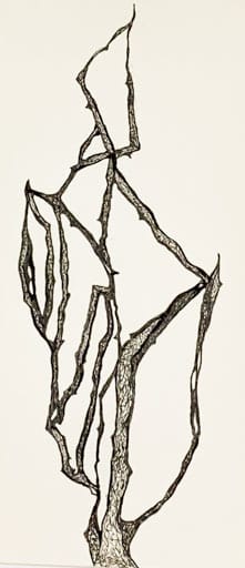 Branching by Pat Borow, Image 1.