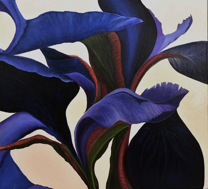 Caesar's Brothers by Pat Borow 