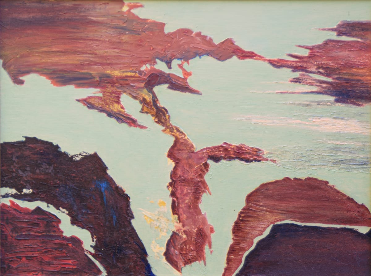 Canyon View by Pat Borow 