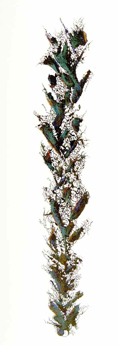 Desert Totem by Pat Borow, Image 1.