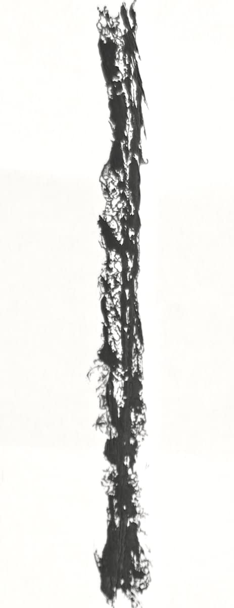 Torn & Frayed No. 2 by Pat Borow, Image 1.
