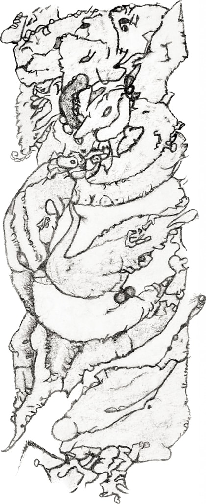Animals by Pat Borow 
