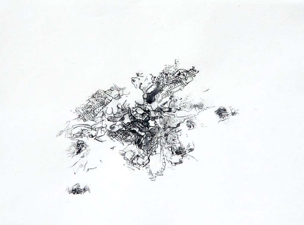 Shredded by Pat Borow 