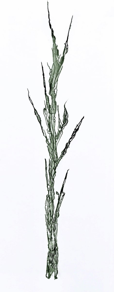 Stalk 1 by Pat Borow 