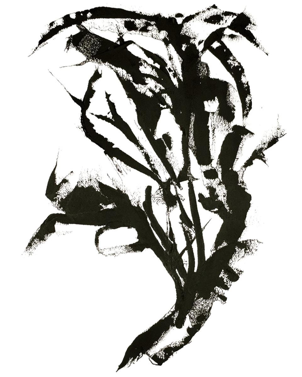 The First One, Image 1.