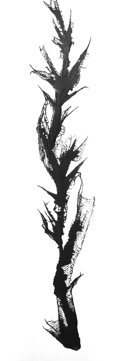 Long Division, 8, Image 1.