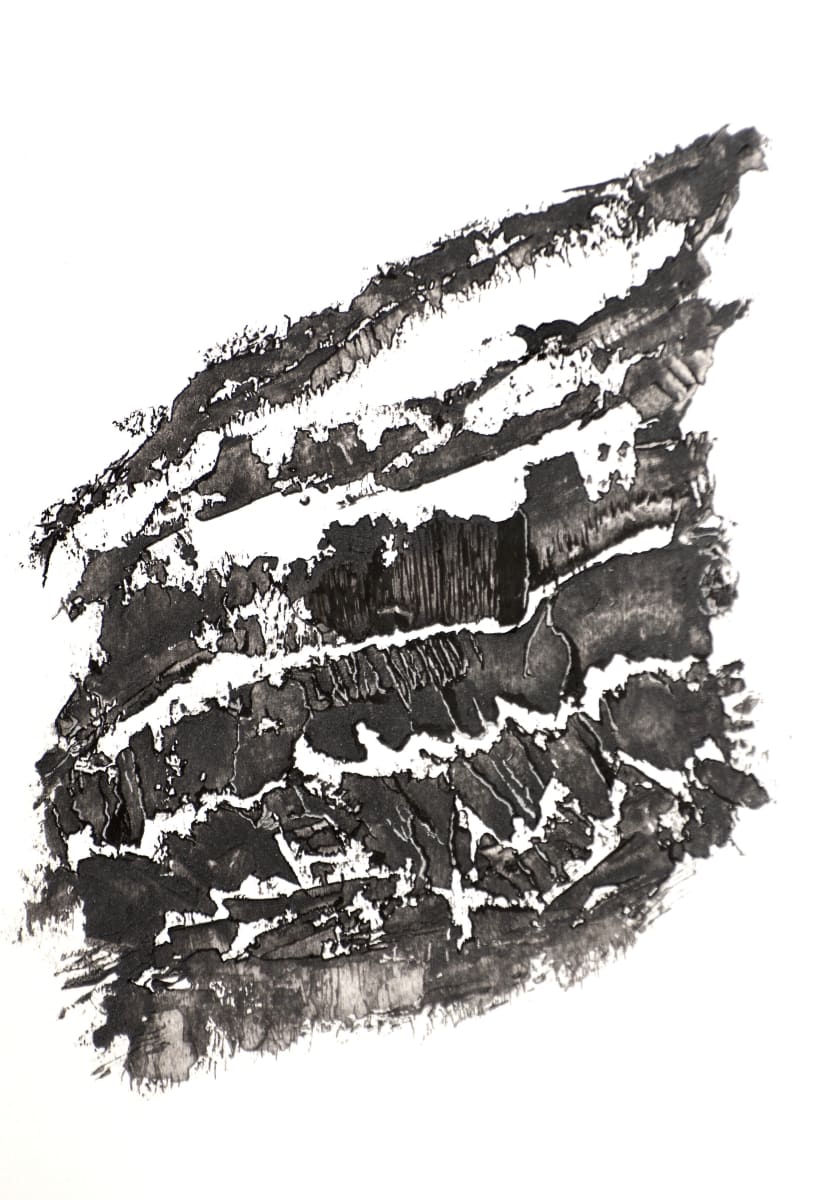 Torn Apart by Pat Borow 