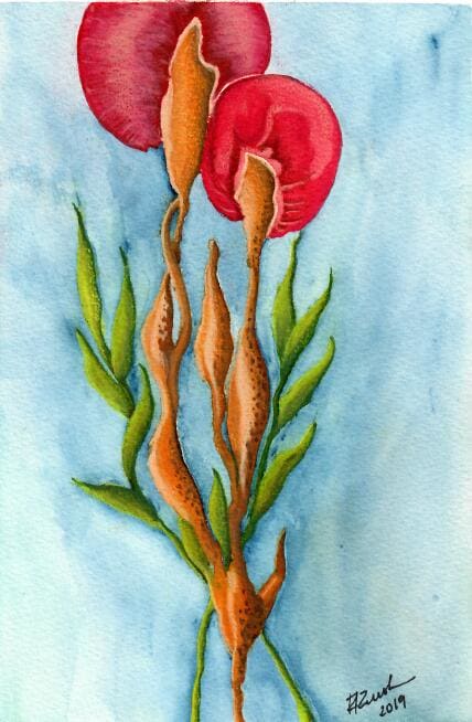 Surprising Flowers by Renata Rush 