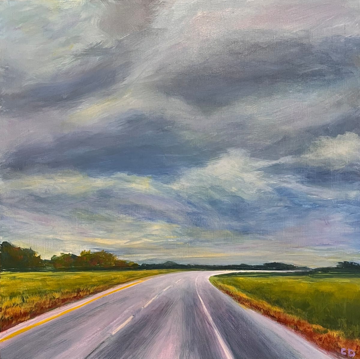 Curious Curves by Celeste Dumonceaux Delahey 