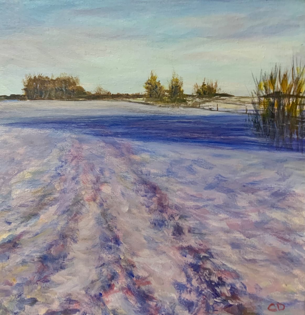 Snowshoe Trail by Celeste Dumonceaux Delahey 