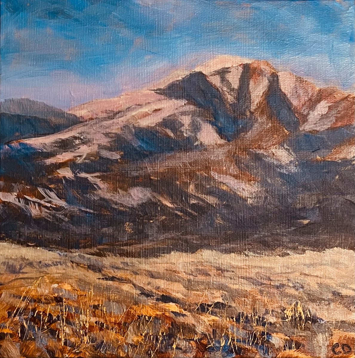 Light on the Mountain by Celeste Dumonceaux Delahey, Image 1.