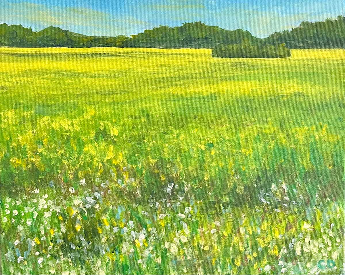 Canola Craze by Celeste Dumonceaux Delahey, Image 1.