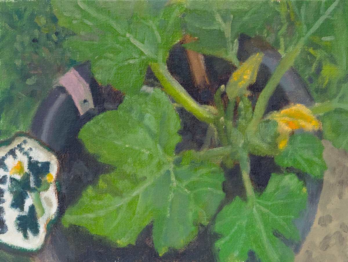 Courgette by Carolin Winkler, Image 3.