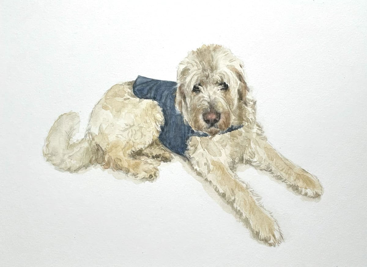 Dog 01 