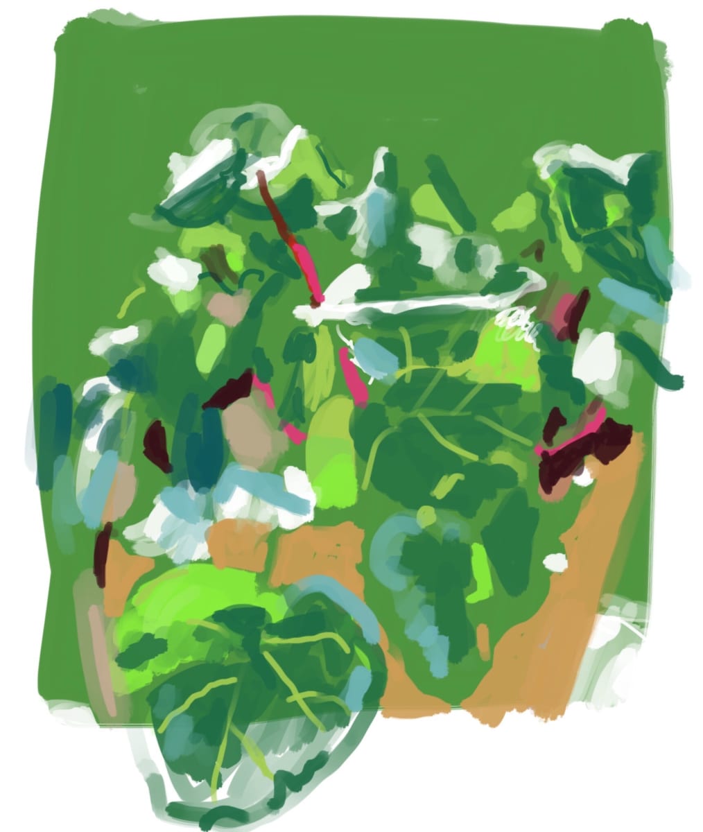 Digital Painting - Cyclamen 