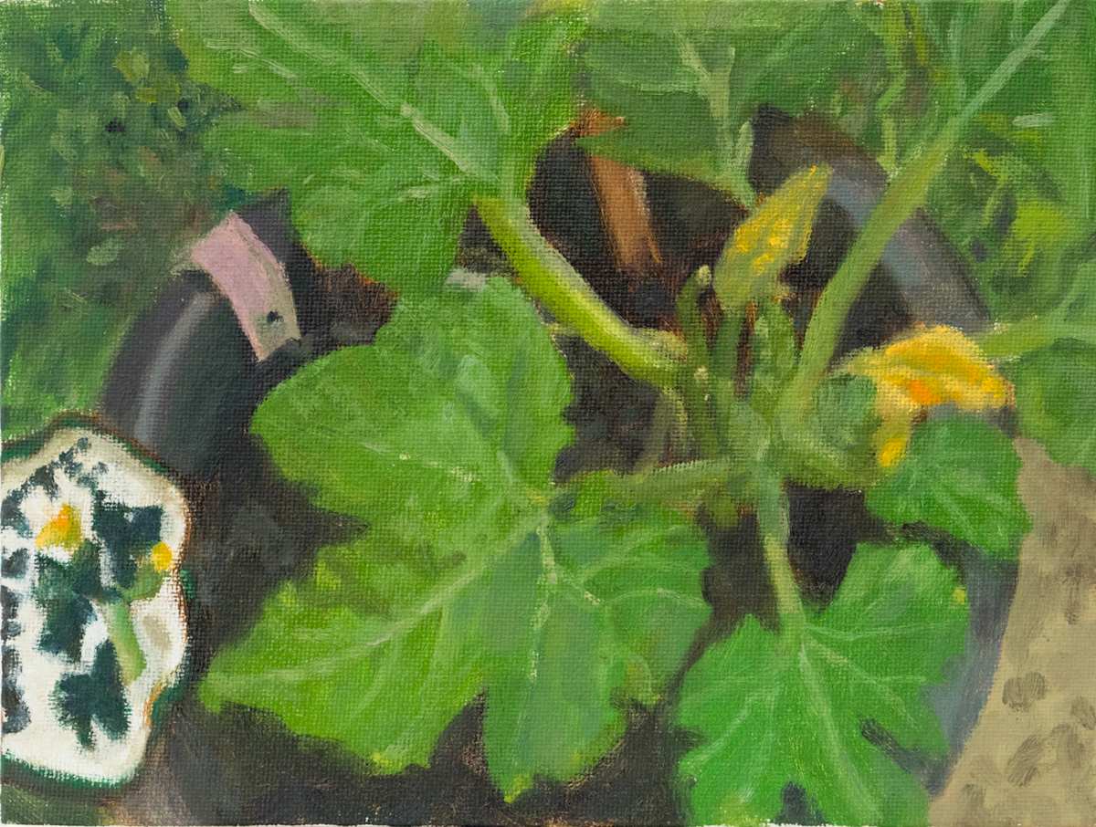 Courgette by Carolin Winkler 