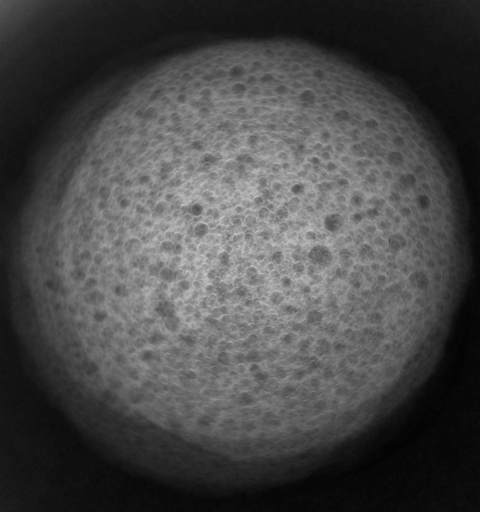 Coffee Foam Sphere, Image 1.