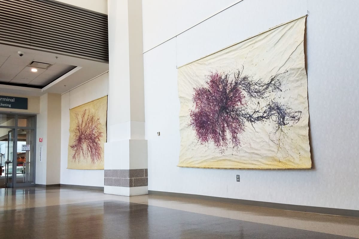 Great Salt Cove Macroalgae #2 by May Babcock 