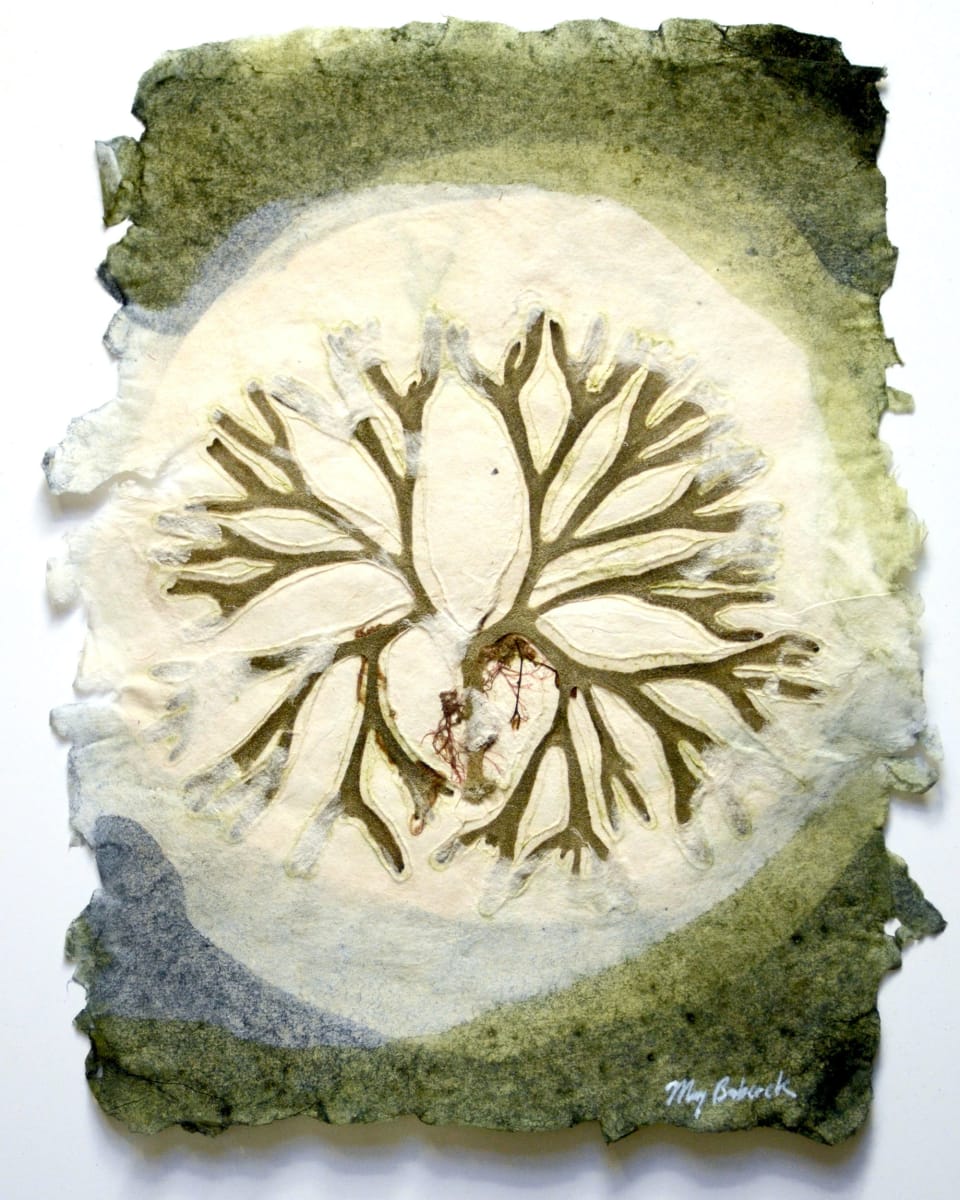 Sea of Secret Colors #13: Codium fragile by May Babcock, Image 1.