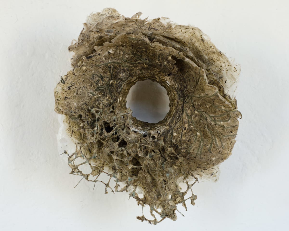 Rome Point Seaweed Constructions #1 by May Babcock 