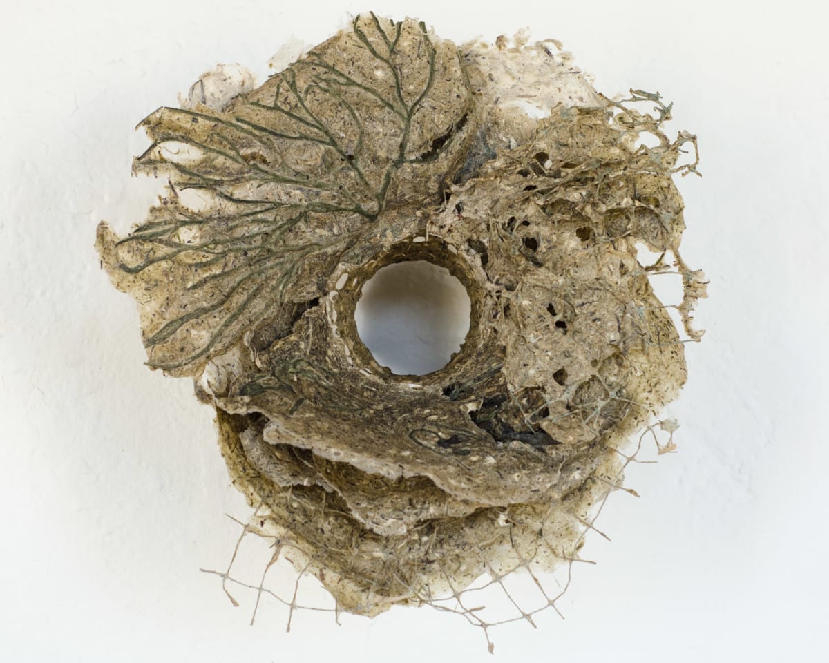 Rome Point Seaweed Constructions #3 by May Babcock 