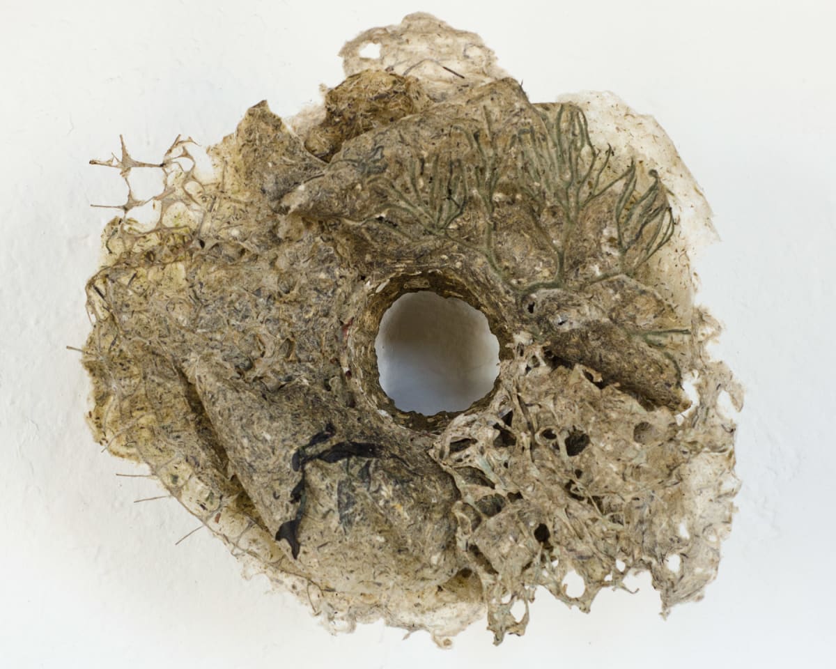 Rome Point Seaweed Constructions #6 by May Babcock 