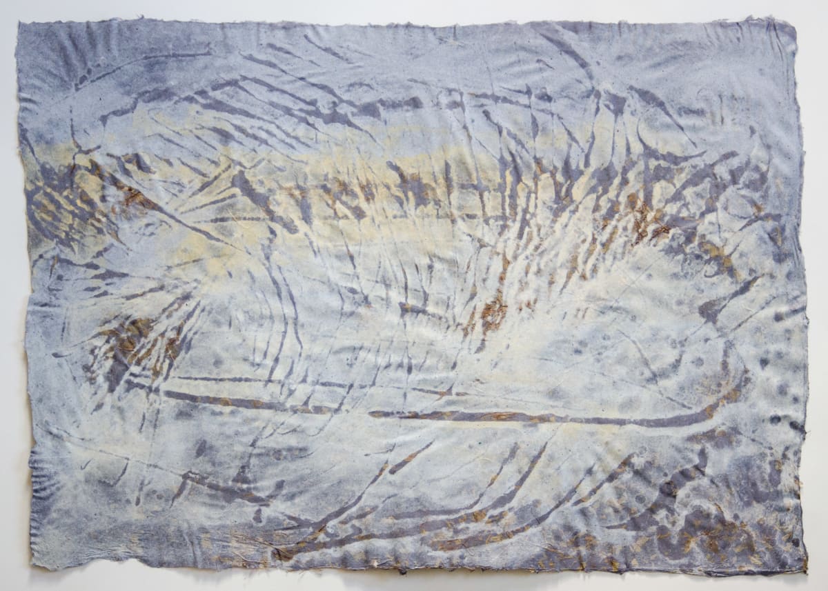 Living Fossils #10: Carax primaevus, 40 million Years by May Babcock, Image 1.