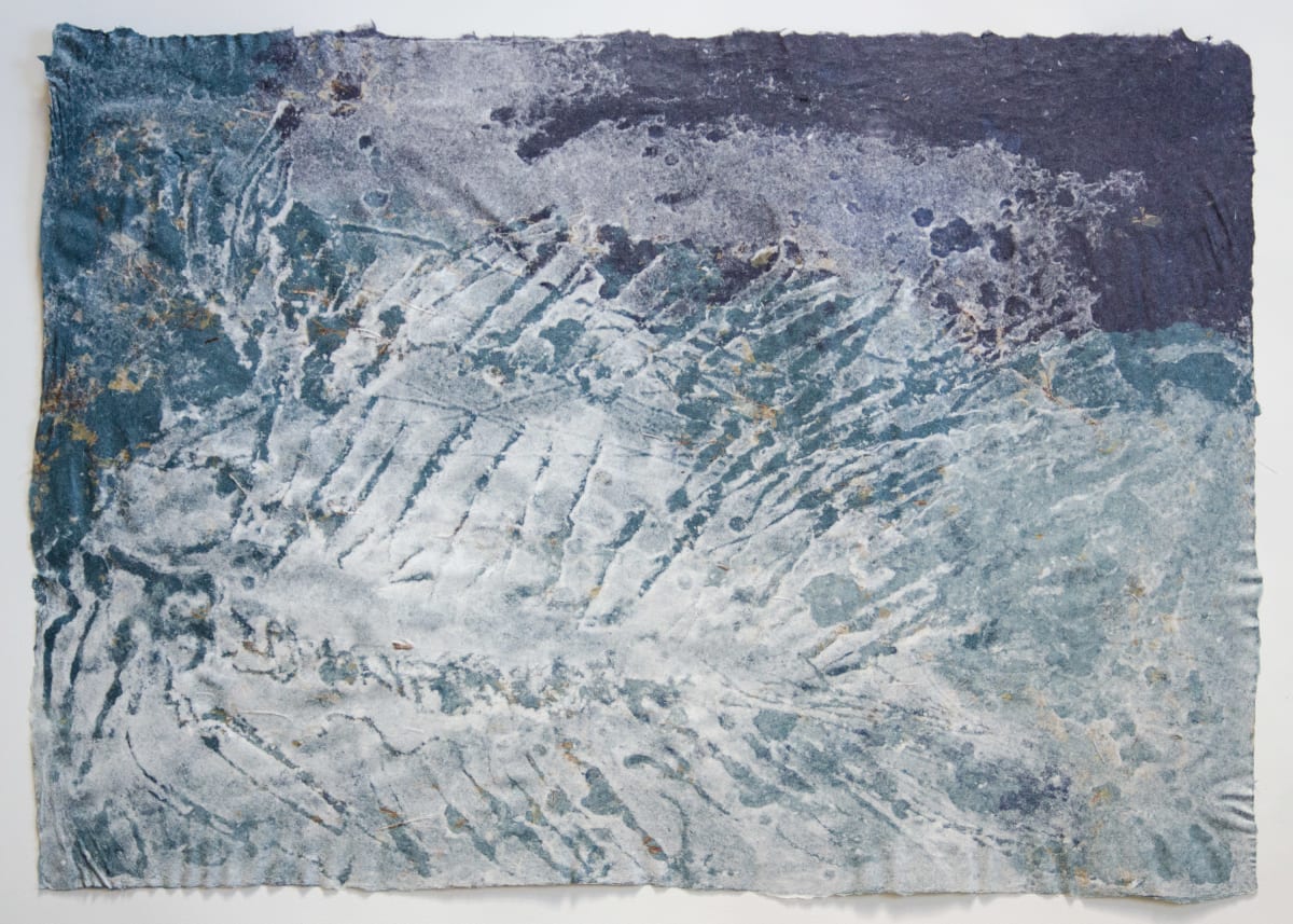 Lates gracilis, 40 million years by May Babcock, Image 4.