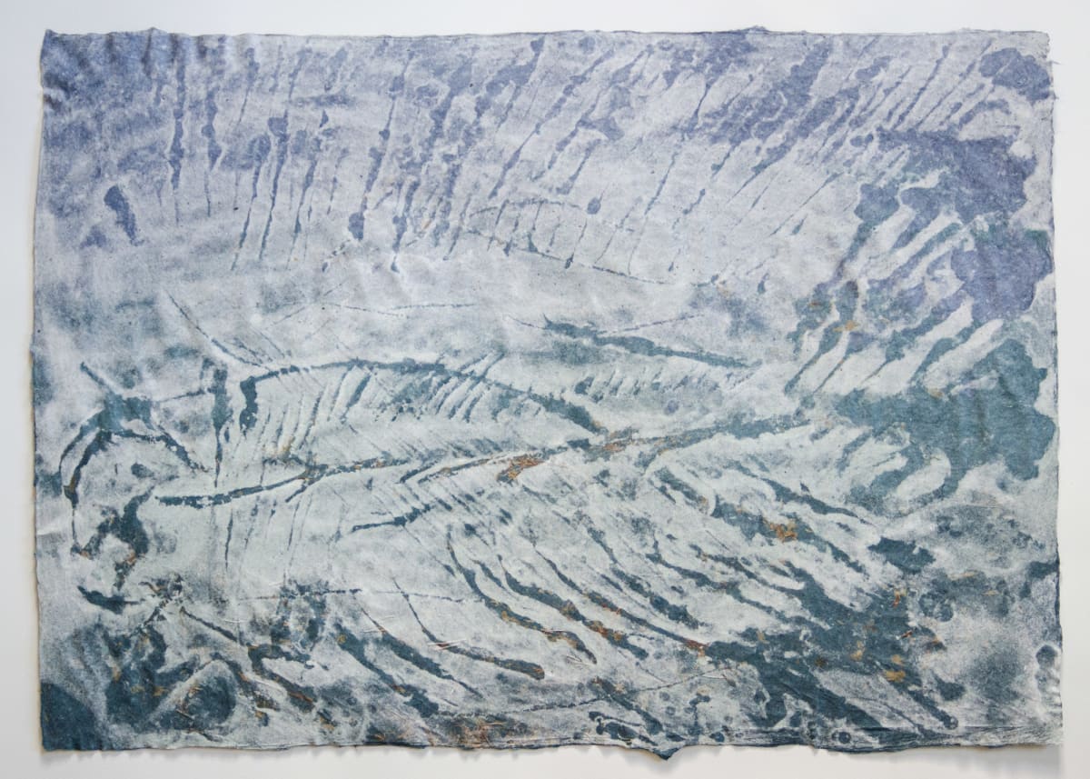 Macrosemerin rostoratus, 135 million years by May Babcock, Image 1.