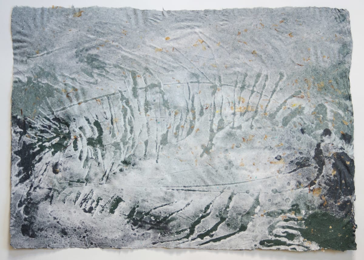 Carox primaevus, 40 million years by May Babcock, Image 1.