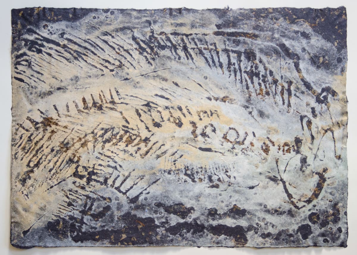 Eomyrophys latispinus, 40 million years by May Babcock, Image 1.