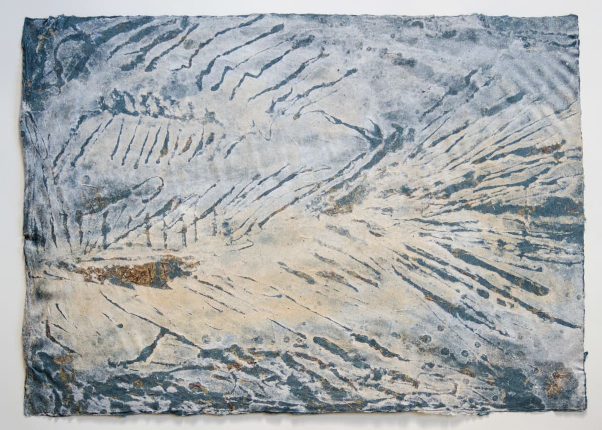 Living Fossils #6: Urocles lepidotis, 135 million years by May Babcock, Image 1.