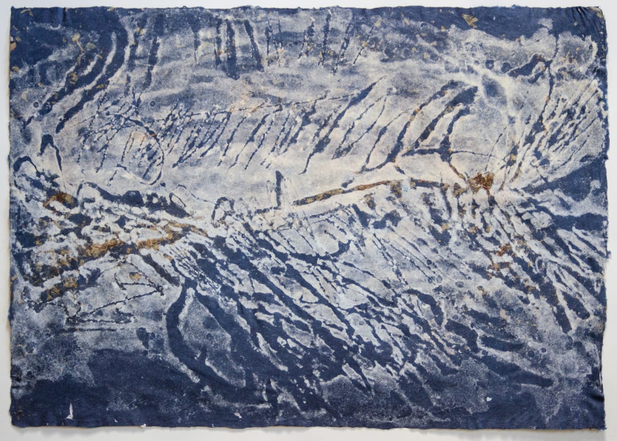 Living Fossils #8: Analthalion , 135 million years by May Babcock, Image 1.
