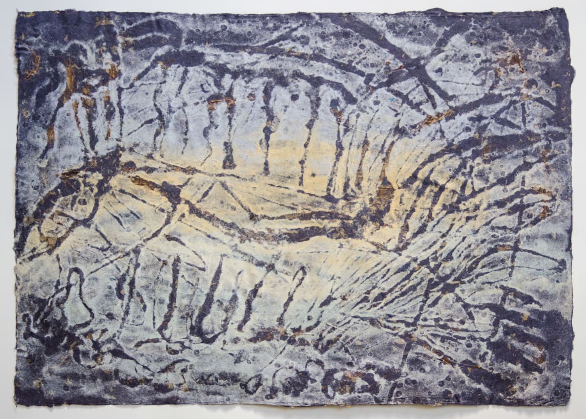 Lates gracilis, 40 million years by May Babcock, Image 1.