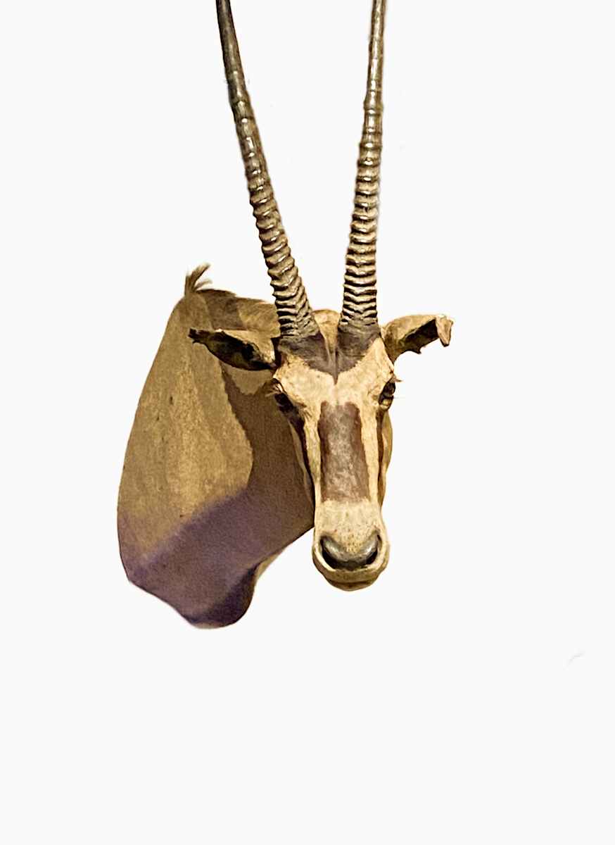 Beisa Oryx #47 by Jennifer Frost, Image 2.