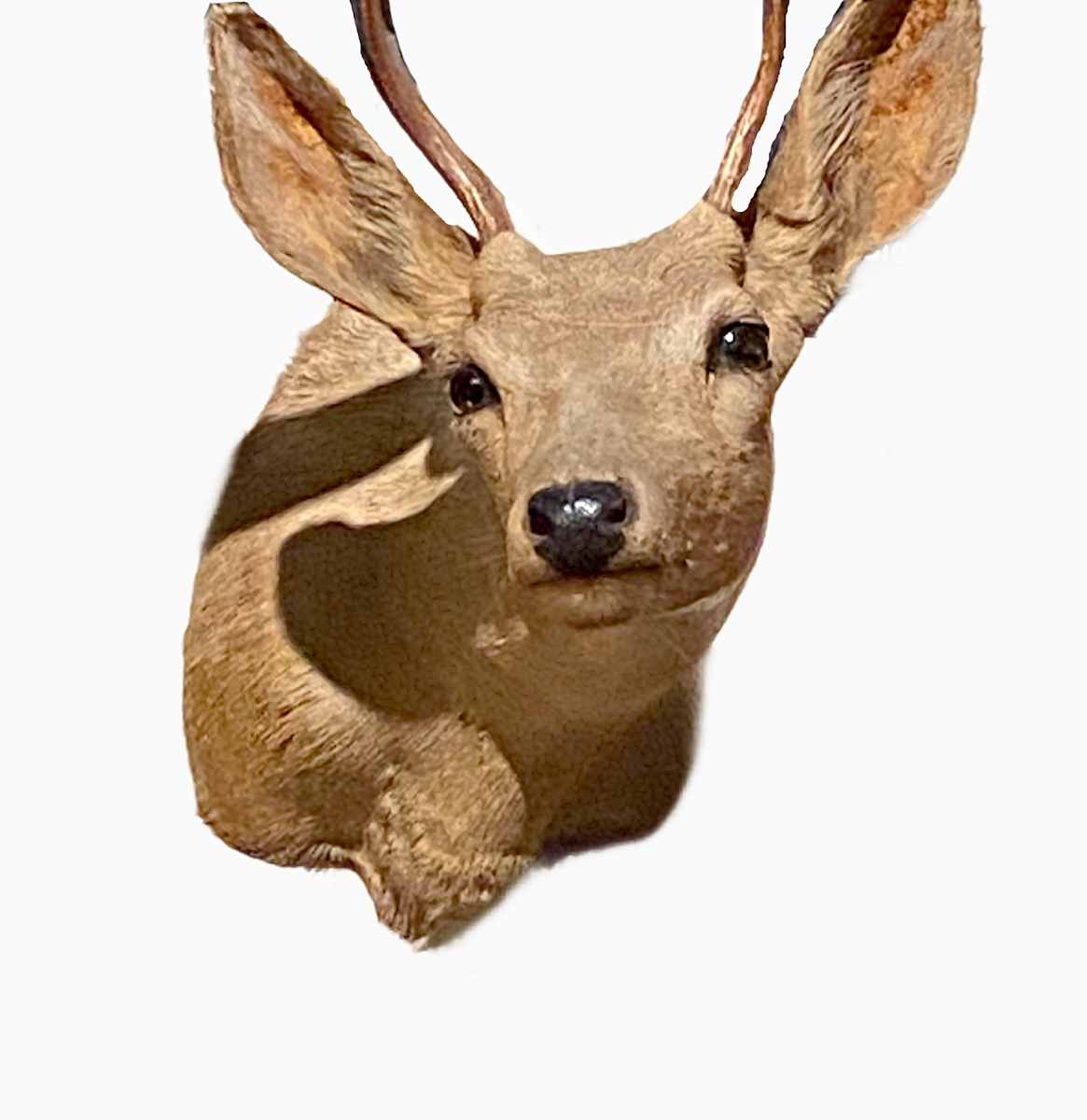 Cous Deer #154 by Jennifer Frost, Image 2.