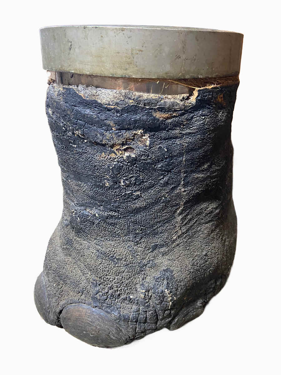 Elephant Foot Vessel #182 by Jennifer Frost, Image 1.