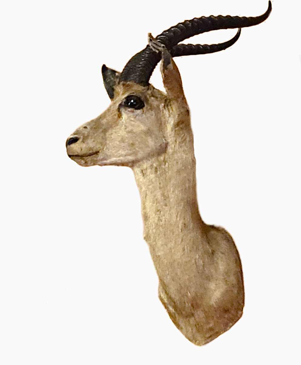 Klipspringer #202 by Jennifer Frost, Image 2.