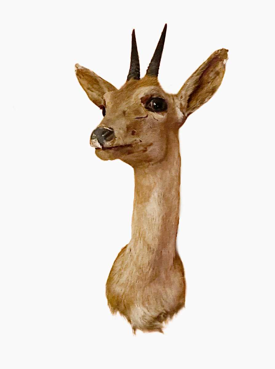 Oribi #175 by Jennifer Frost, Image 2.