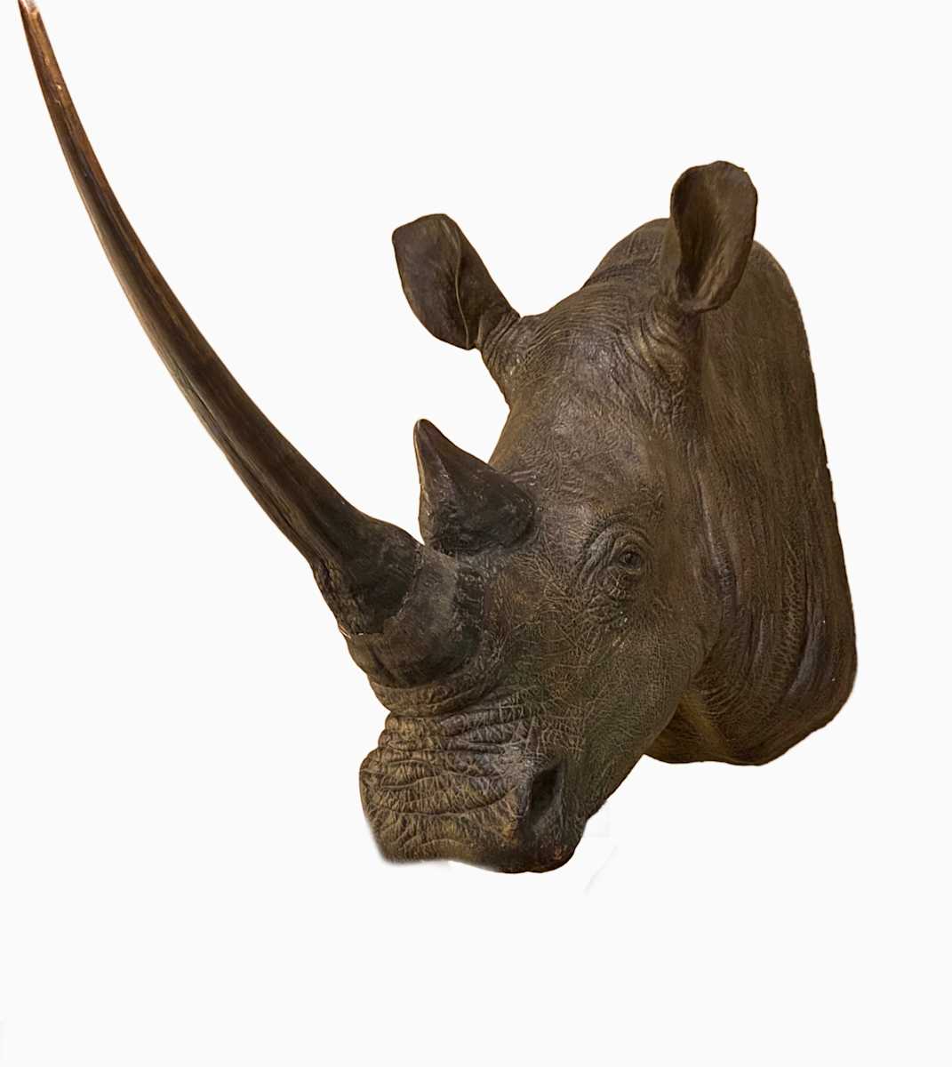 White Rhinoceros #85 by Jennifer Frost, Image 3.