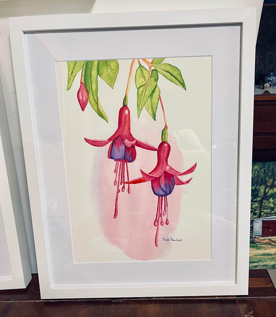 Fuchsias - framed by Gayle Reichelt, Image 2.